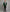 Mens Shawl Lapel Green Velvet Tuxedo