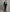 Mens Peak Lapel Single Button Green Velvet Tuxedo