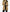 Womens Camel Wool Coat With Fur Trim Hood